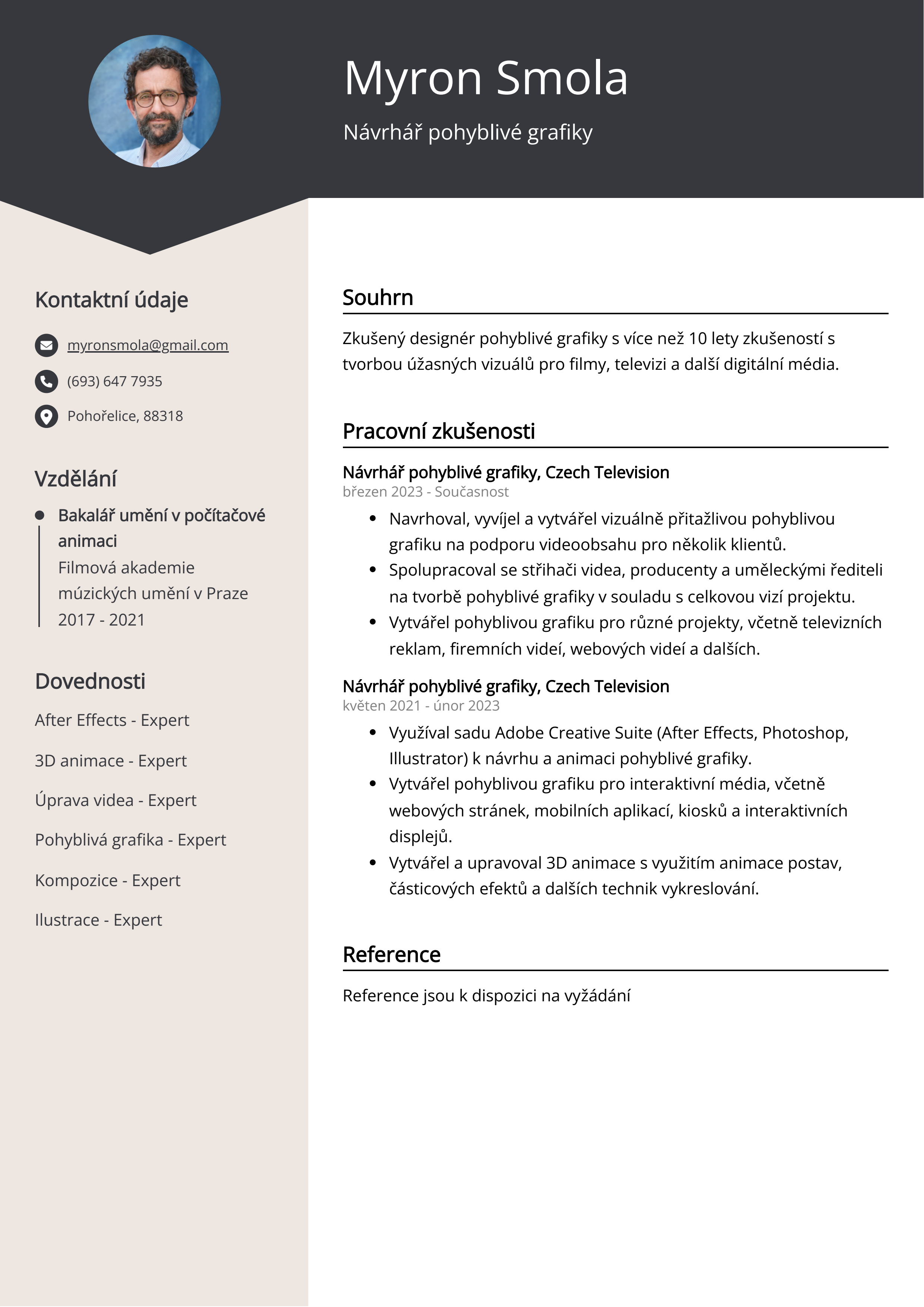 Návrh pohyblivé grafiky Resume Example