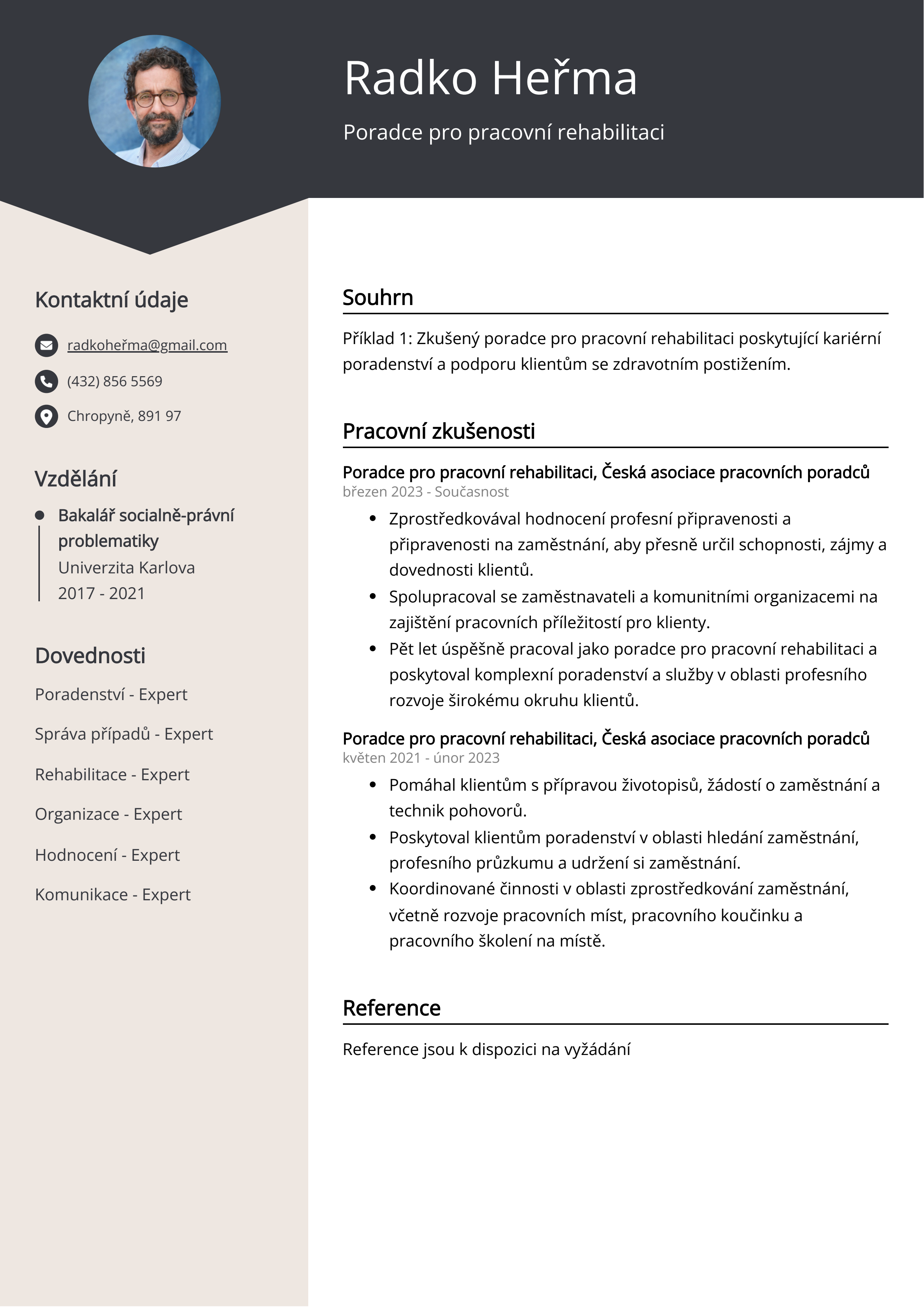 Poradce pro pracovní rehabilitaci Resume Example