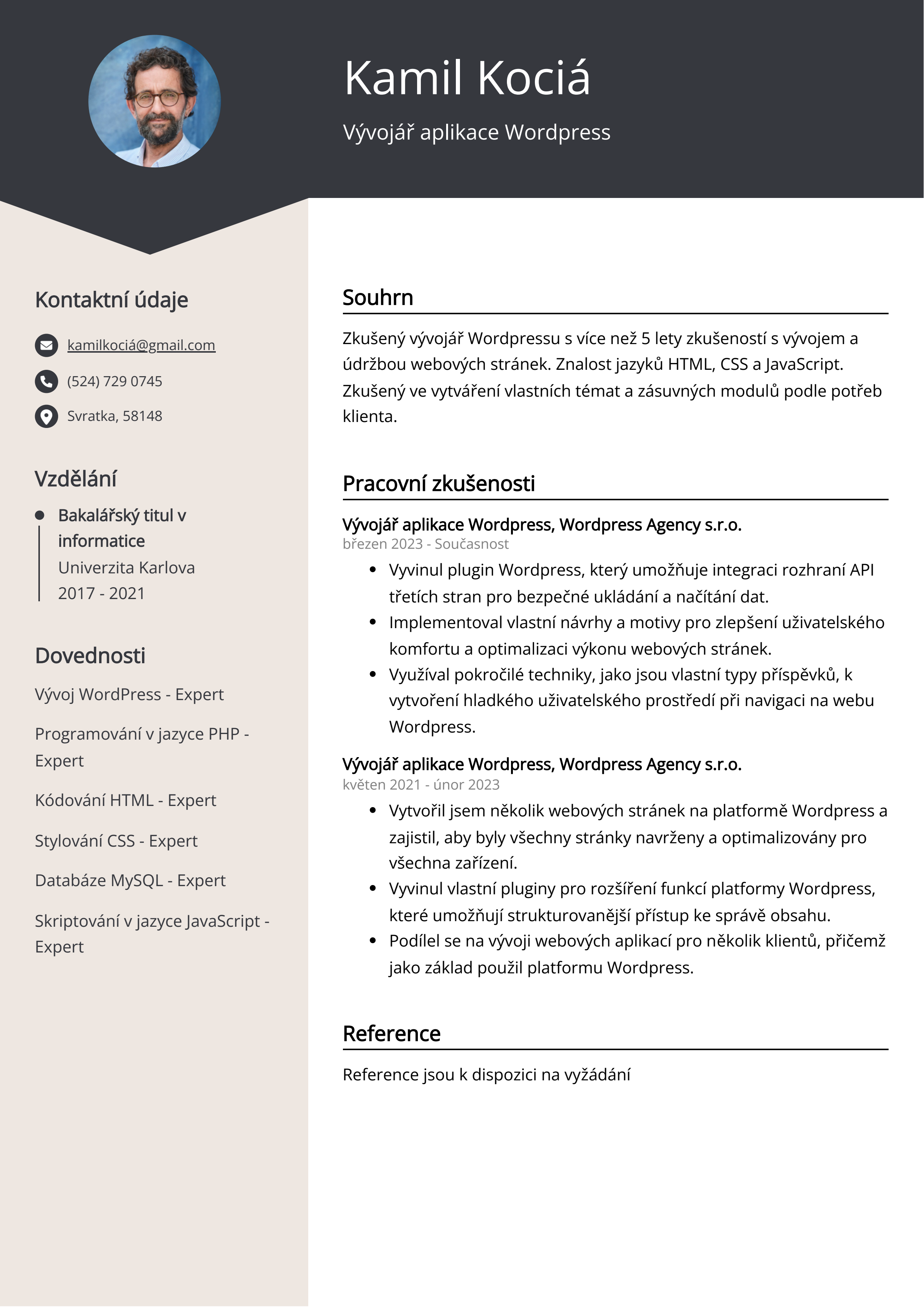 Vývojář aplikace Wordpress Resume Example