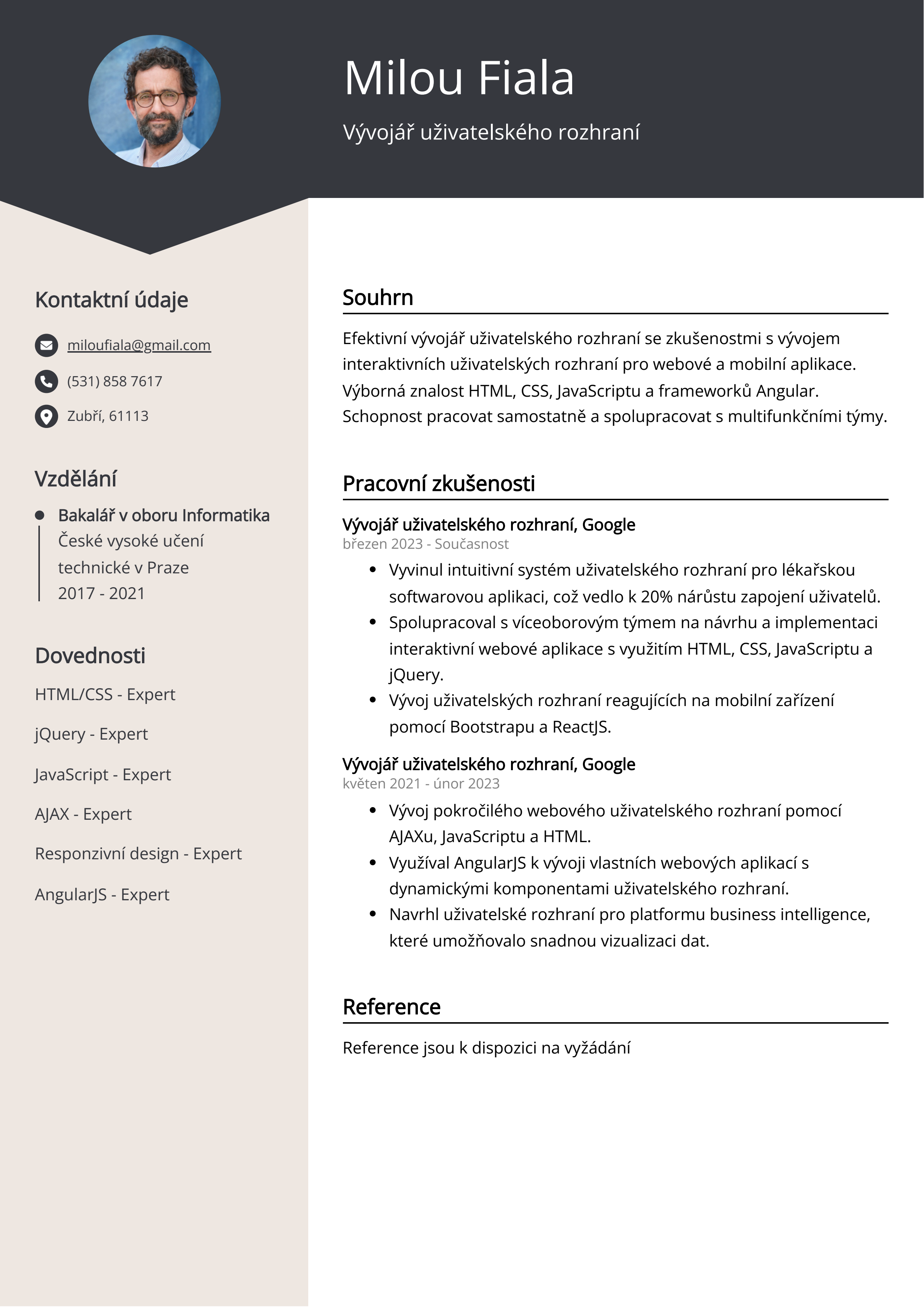 Vývojář uživatelského rozhraní Resume Example