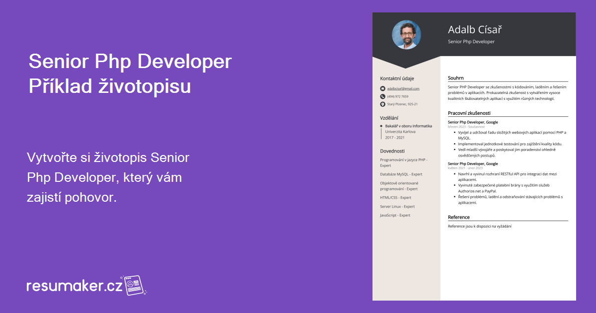 Senior Php Developer Příklady životopisů (šablona a 20+ tipů)